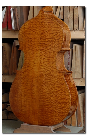 AES_29_back