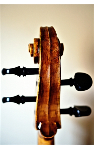 cello_01_03