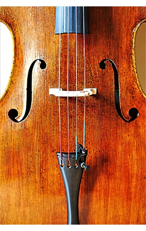 cello_01_09