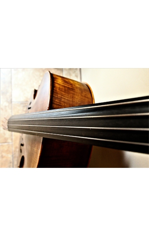 cello_01_13