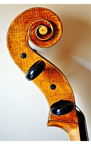 cello_01_99